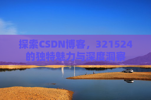 探索CSDN博客，321524的独特魅力与深度洞察